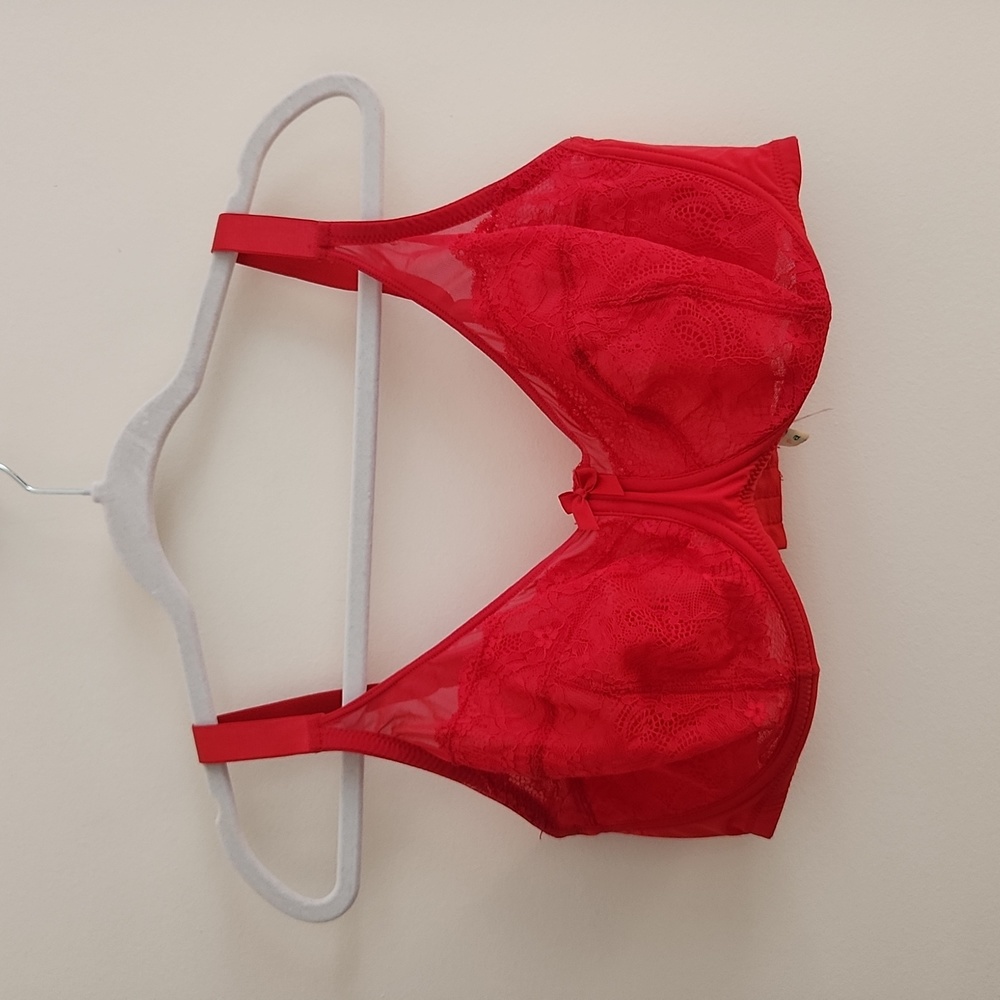 Parfait Red Lace Bra